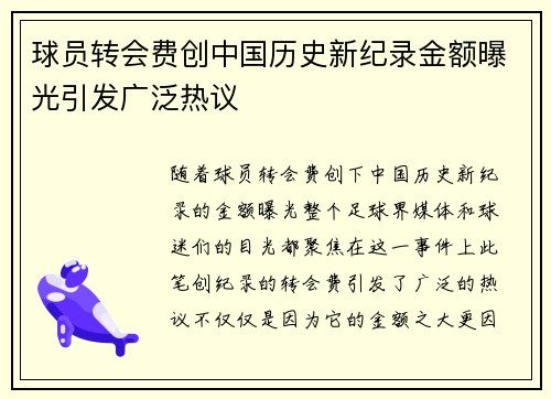 球员转会费创中国历史新纪录金额曝光引发广泛热议