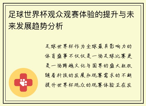 足球世界杯观众观赛体验的提升与未来发展趋势分析